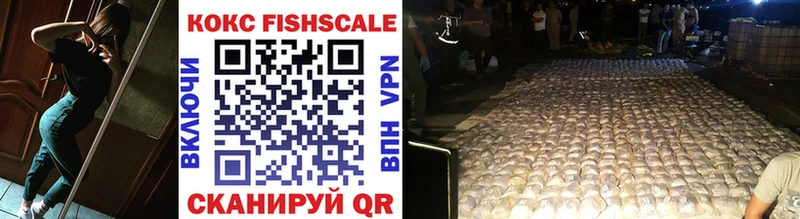 COCAIN FishScale  где купить наркоту  Змеиногорск 
