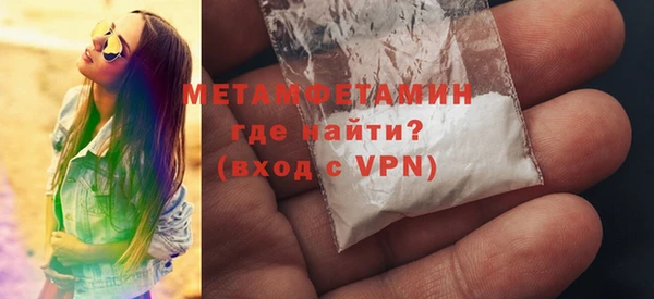 прущие грибы Новозыбков