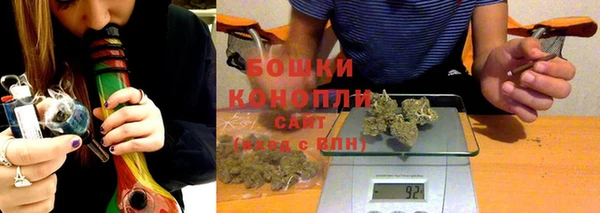 прущие грибы Новозыбков