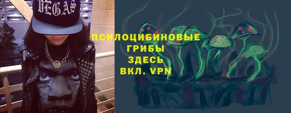 стафф Новокубанск