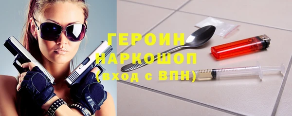 прущие грибы Новозыбков