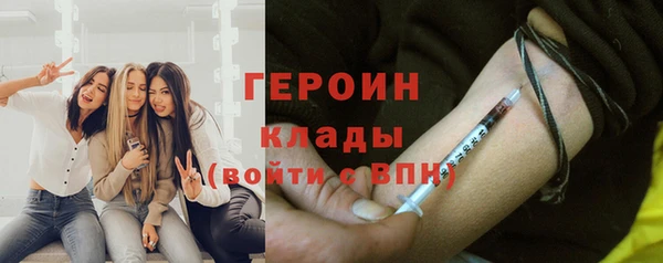 прущие грибы Новозыбков