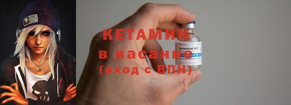 прущие грибы Новозыбков