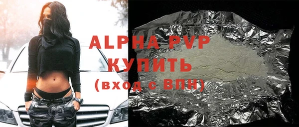 прущие грибы Новозыбков