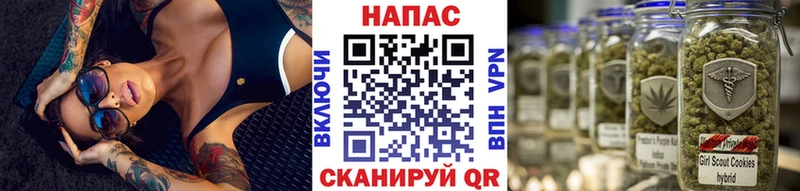 МЕГА как зайти  продажа наркотиков  Змеиногорск  Бошки марихуана AK-47 