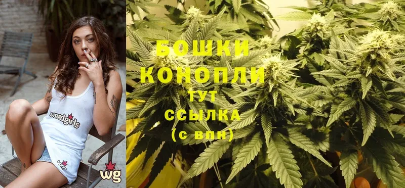 Каннабис OG Kush  наркотики  Змеиногорск 